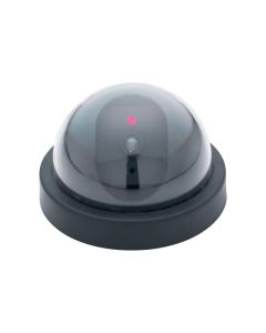 Decoy Dome Security Camera