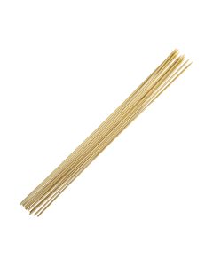 Coghlan's 12pk Disposable Roasting Stick