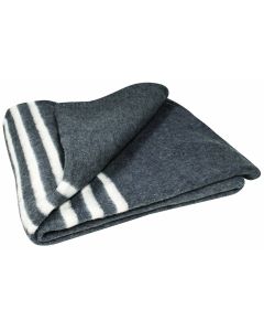 Blanket Emergency & Survival 