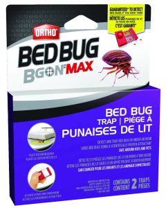 Bed Bug Trap