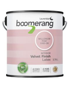 3.78L Recycled Paint - Pink