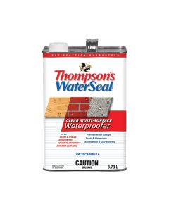 Thompson's WaterSeal 3.78L Wood Protector Clear