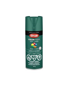 Krylon COLORmax 340g Gloss Green Paint + Primer