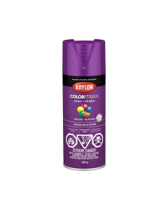 Krylon COLORmaxx 340g Gloss Plum Paint + Primer
