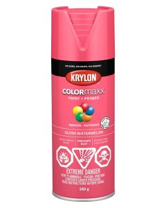 Krylon Colormaxx 340g Gloss Watermelon Paint