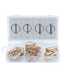 25-piece Pin-Lynch Assortment