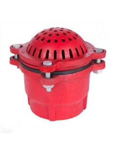 Newline 2" Red Cast Iron Foot Valve
